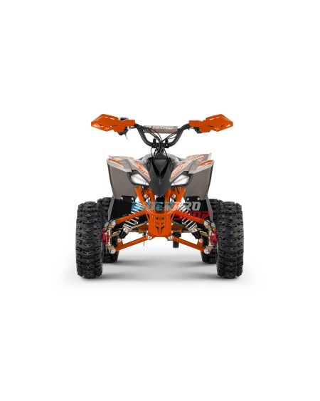 🏍️ Kinder-Mini-Quad Replay 1200W: Sicher & Spaßig! - RiderProShop