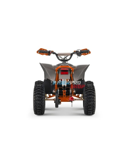 🏍️ Kinder-Mini-Quad Replay 1200W: Sicher & Spaßig! - RiderProShop