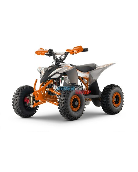 🏍️ Kinder-Mini-Quad Replay 1200W: Sicher & Spaßig! - RiderProShop
