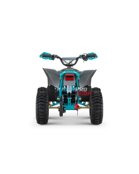 🌟 Replay 1200W Kids Mini Quad: Ultimate Fun & Safety! - RiderProShop