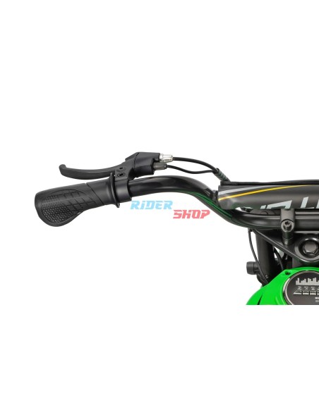 Elektrische Minimoto 350W