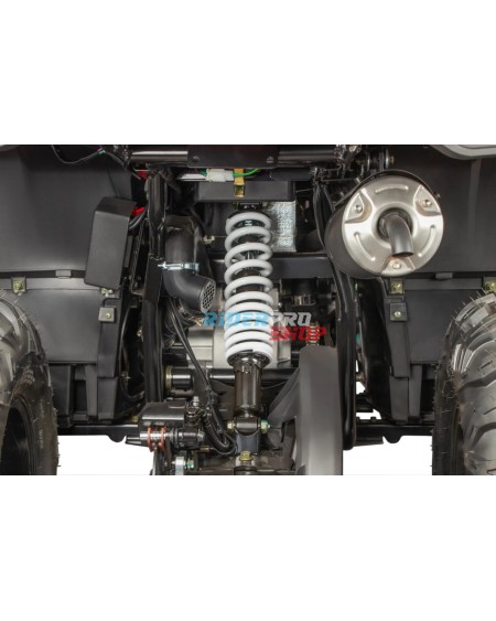 Tricia CVT RS10 Platinum : Quad Adulte pour Sensations Fortes 🏍️