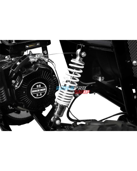 Buggy 98cc Gokid