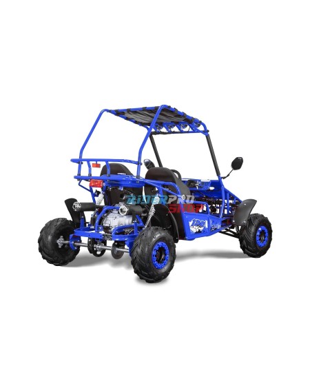 🚀 Descubre el Buggy 125cc: Potencia y Confort Todoterreno 🚙