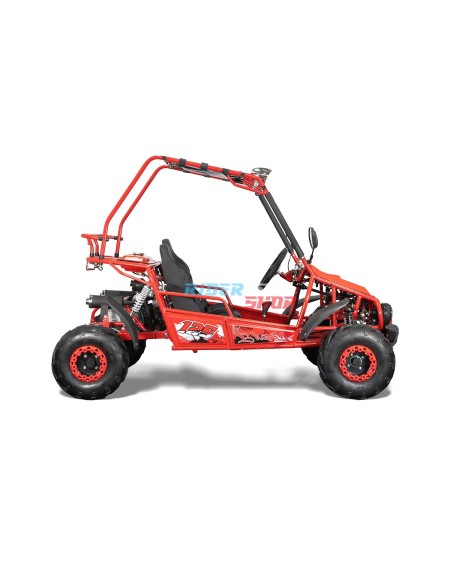🚀 Descubre el Buggy 125cc: Potencia y Confort Todoterreno 🚙