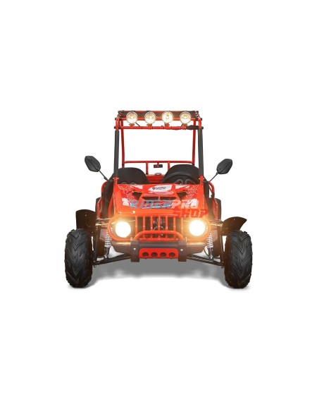 🚀 Descubre el Buggy 125cc: Potencia y Confort Todoterreno 🚙