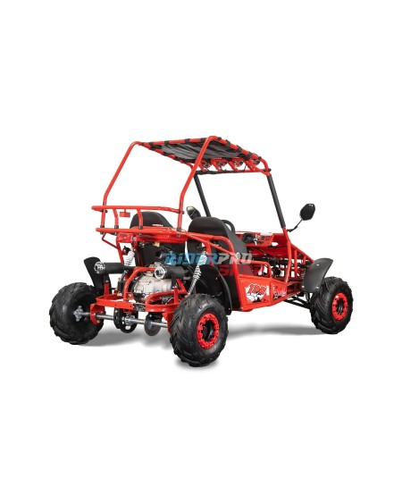 🚀 Descubre el Buggy 125cc: Potencia y Confort Todoterreno 🚙