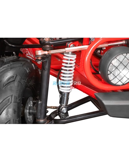 🚀 Descubre el Buggy 125cc: Potencia y Confort Todoterreno 🚙