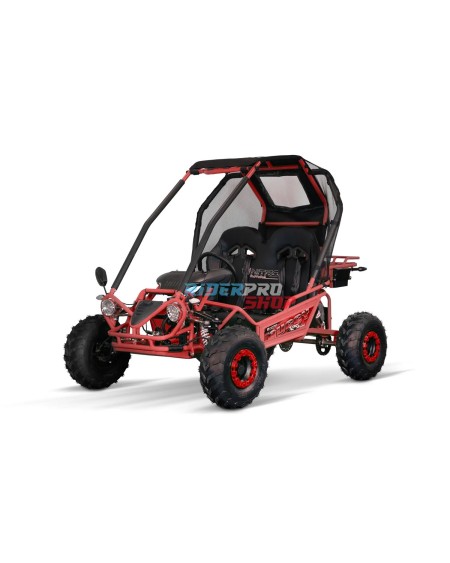 Gokart 125cc: Avventura e Sicurezza per Bambini 🏍️ - RiderProShop