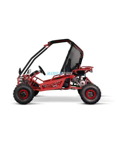 Gokart 125cc: Avventura e Sicurezza per Bambini 🏍️ - RiderProShop