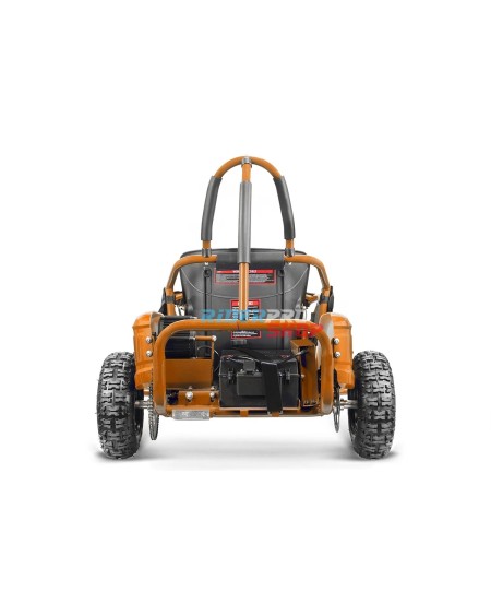 Gokid PRM 6" 1000W: Sicherer Kinder-Buggy für Abenteuer 🚙