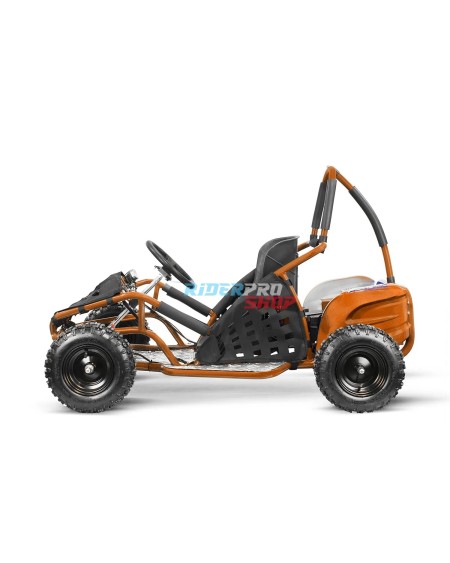 Buggy Elettrico Bambini Gokid PRM 6" 1000W: Avventure Epiche! 🚙 - RiderProShop
