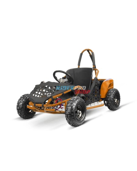 Buggy Elettrico Bambini Gokid PRM 6" 1000W: Avventure Epiche! 🚙 - RiderProShop