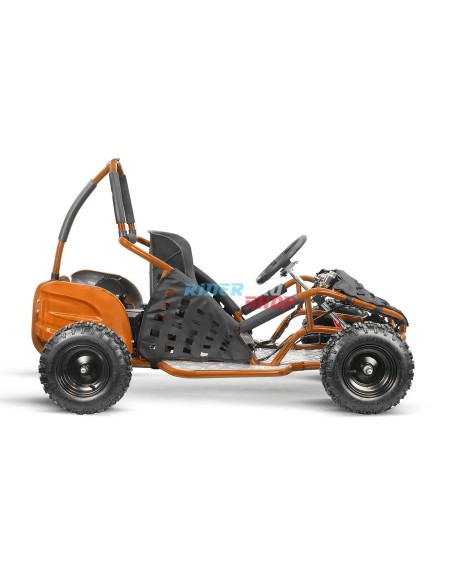 Gokid PRM 6" 1000W: Sicherer Kinder-Buggy für Abenteuer 🚙