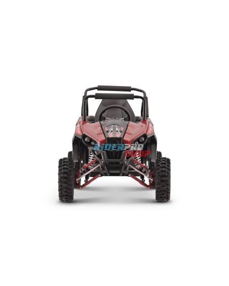 Buggy 48V