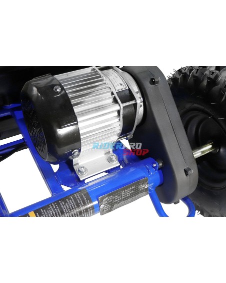 Nitro Motors Buggy