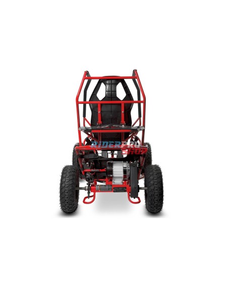 Nitro Motors Buggy Racer PRM 6" ALM 🏎️ – Sicherer Kinderbuggy mit 1000W Motor - RiderProShop