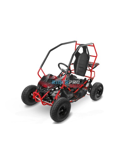 Nitro Motors Buggy Racer PRM 6" ALM 🏎️ – Sicherer Kinderbuggy mit 1000W Motor - RiderProShop
