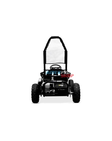 🚙 GoKid Dirty 1000W 48V: Ultimate Kids' Electric Buggy Adventure! - RiderProShop