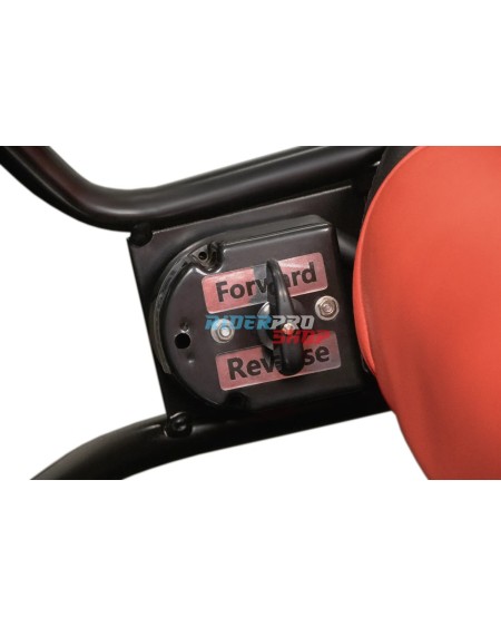 Vivi l'Avventura con Buggy Hunt 650W 36V 2 Posti 🚙 - RiderProShop