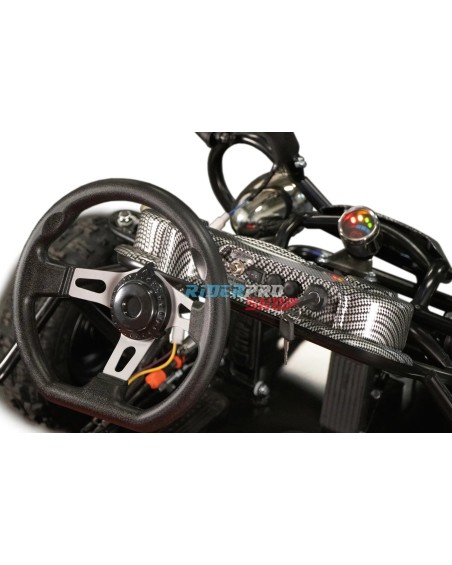 2-seater buggy