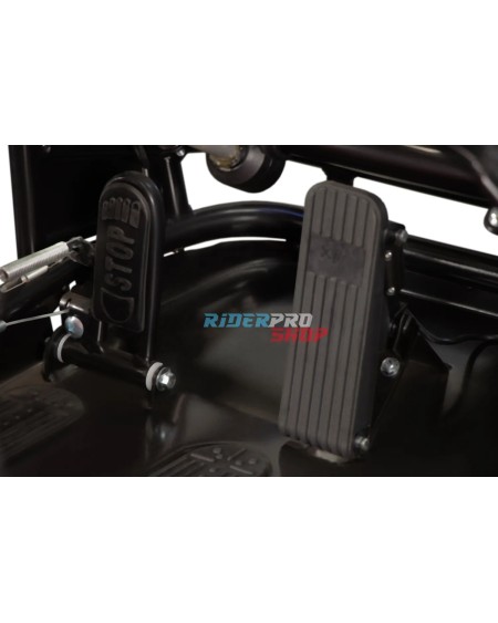 🚙 Adventure Awaits! Buggy Hunt 650W 36V 2-Seater for Kids - RiderProShop