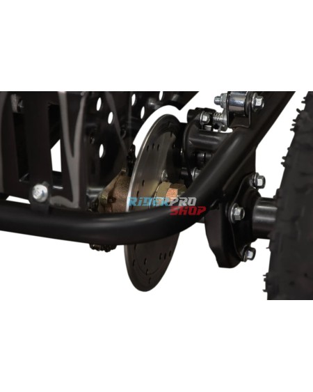 🚙 Adventure Awaits! Buggy Hunt 650W 36V 2-Seater for Kids - RiderProShop