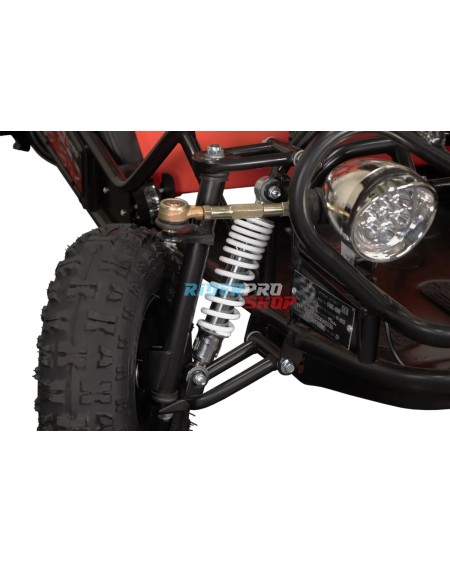 🚙 Adventure Awaits! Buggy Hunt 650W 36V 2-Seater for Kids - RiderProShop