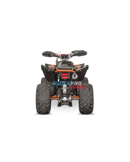 Celavi RS10: 250cc Quad im Raptor-Stil 🏍️ – Leistung & Design vereint! - RiderProShop