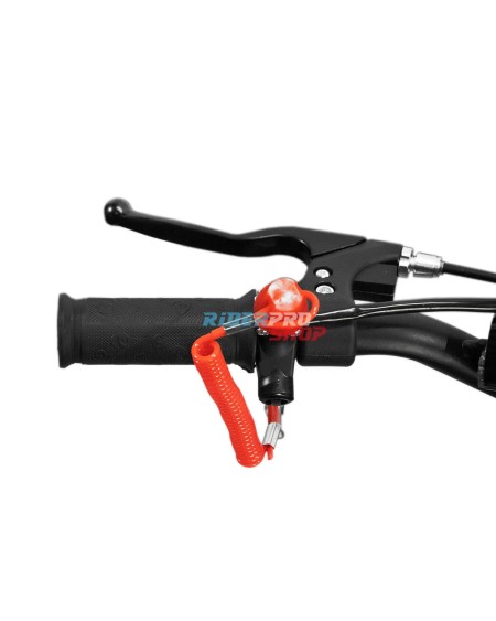 Mini Bike Fossa Fun 49cc : Sécurité et Confort pour Aventuriers - RiderProShop