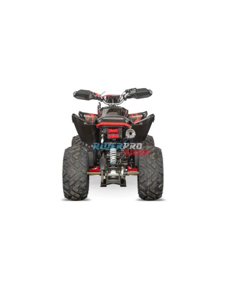 🏍️ Celavi RS10: Ultimate 250cc Raptor Quad for All Terrains!