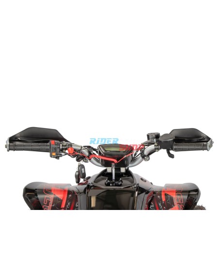250cc Raptor Quad