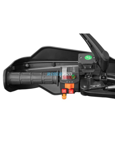 🛵 Tricia 300cc Platin: Power & Comfort in One Quad - RiderProShop