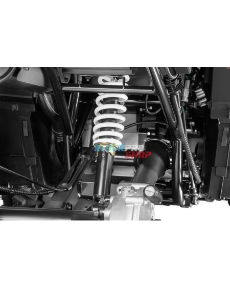 🛵 Tricia 300cc Platin: Power & Comfort in One Quad - RiderProShop