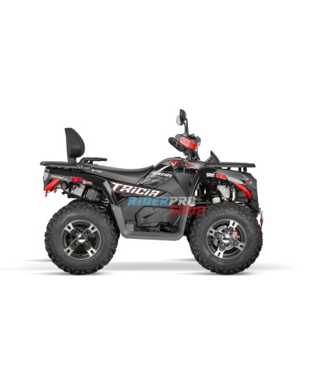 Tricia 300cc Platin: Leistung & Design 🏍️ - RiderProShop