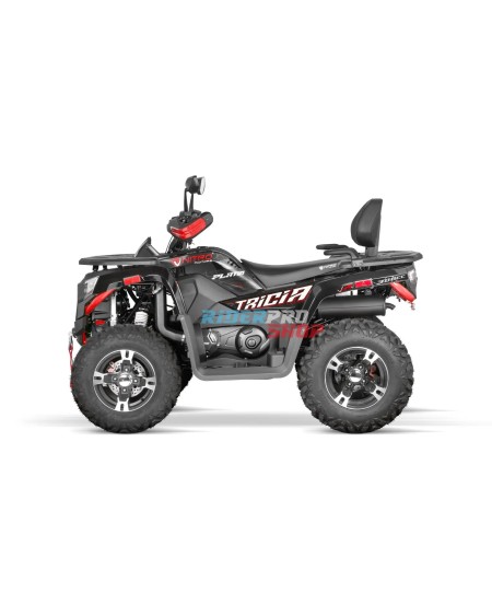 Tricia 300cc Platin: Leistung & Design 🏍️ - RiderProShop