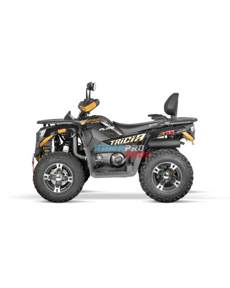 Tricia 300cc Platin: Leistung & Design 🏍️ - RiderProShop