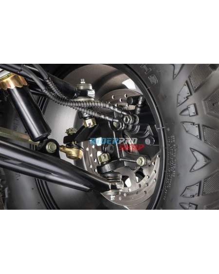 Tricia 300cc Platin: Kracht & Design 🏍️ - RiderProShop