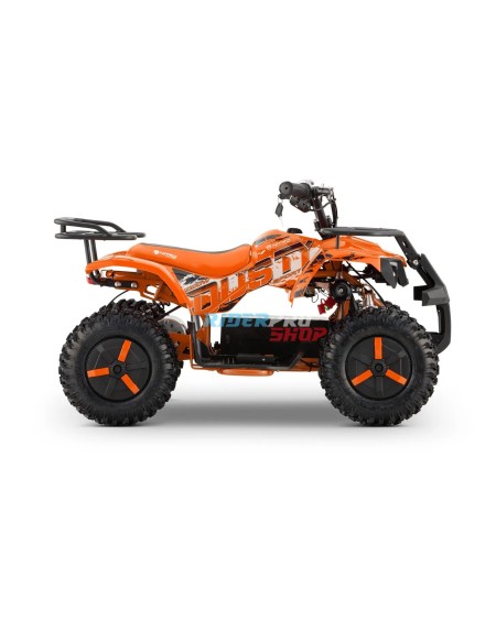 🛍️ Discover Dusty Snowy-Profile L Sport 6" Kids 1000W ATV - RiderProShop